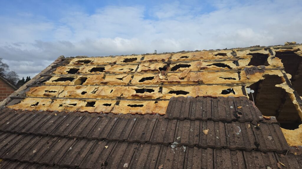 This is a spray foam removal job in progress on a residential property in Suffolk.